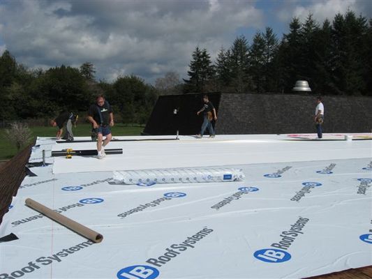 gallery_roofing_picture